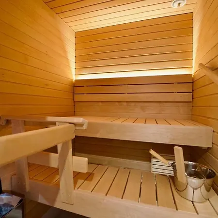 Apartment 1 Bedroom Master W Sauna - Downtown