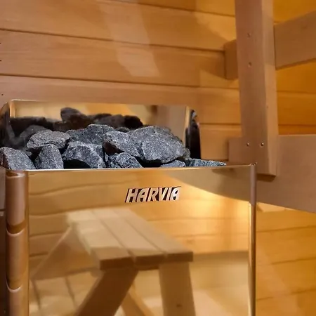 1 Bedroom Master W Sauna - Downtown 罗瓦涅米